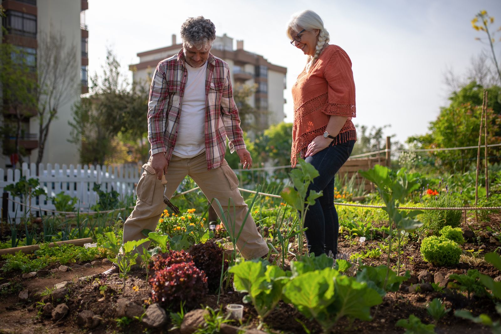 Couple de jeunes retraités dans son jardin potager